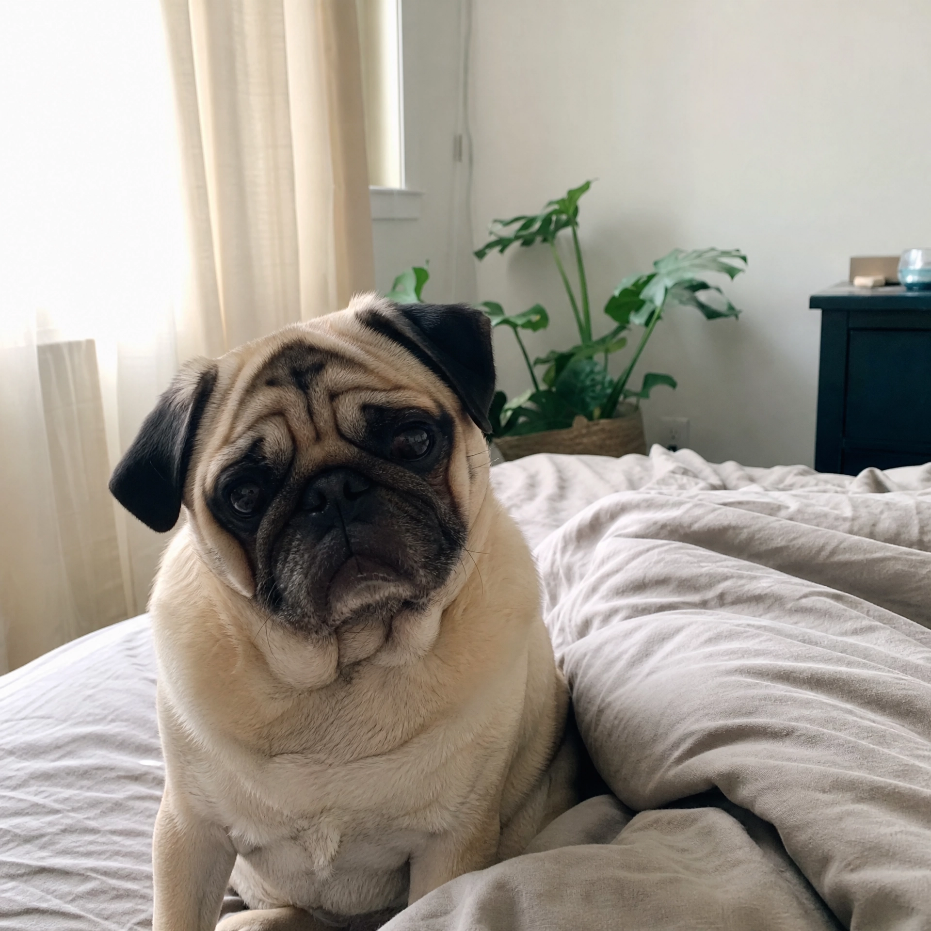 Encuentro adoptivo — buscan familia