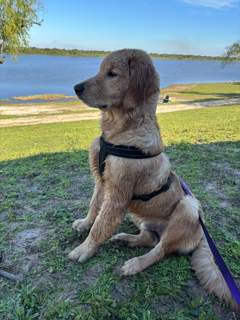 Milo