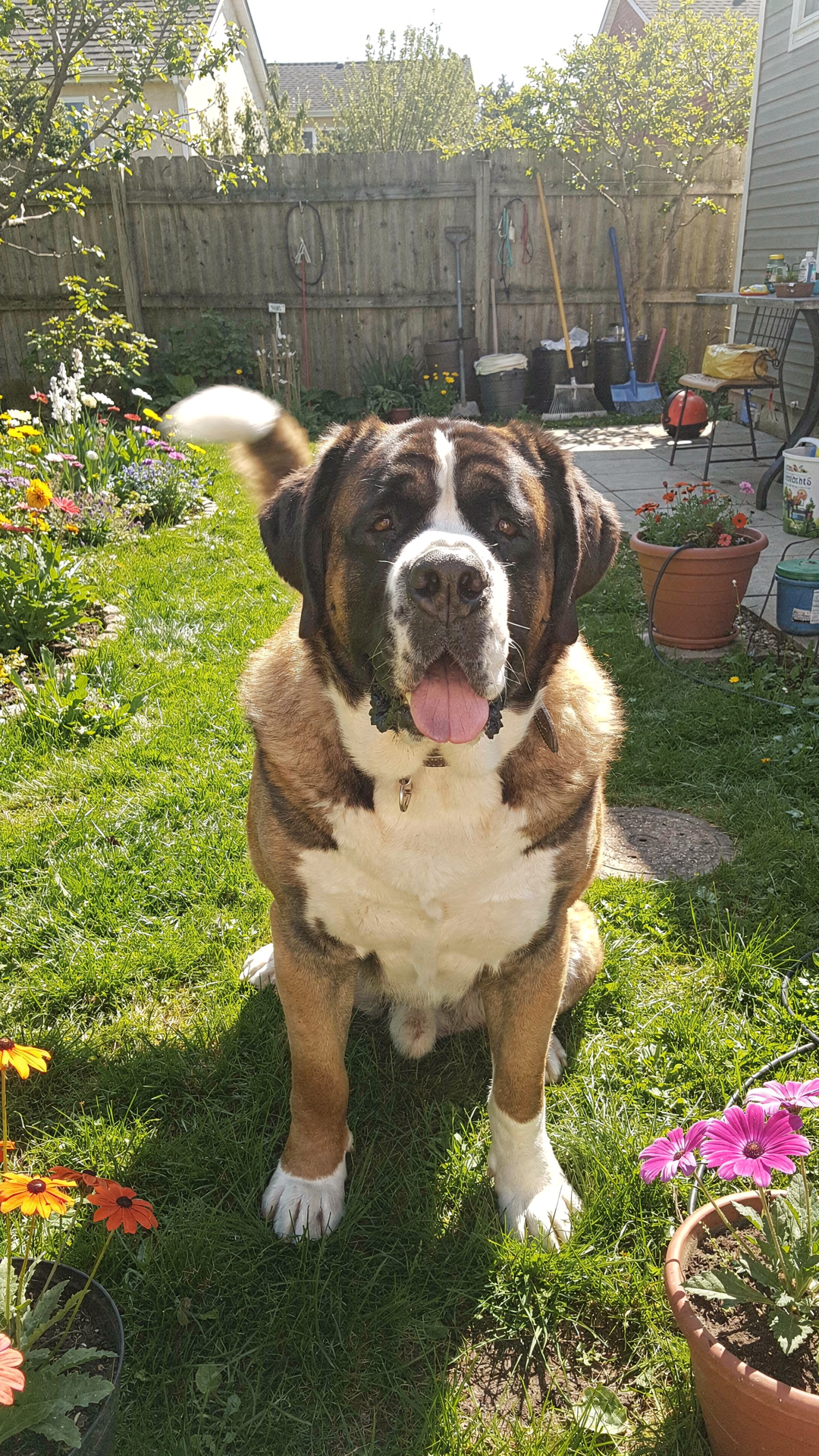 Milo