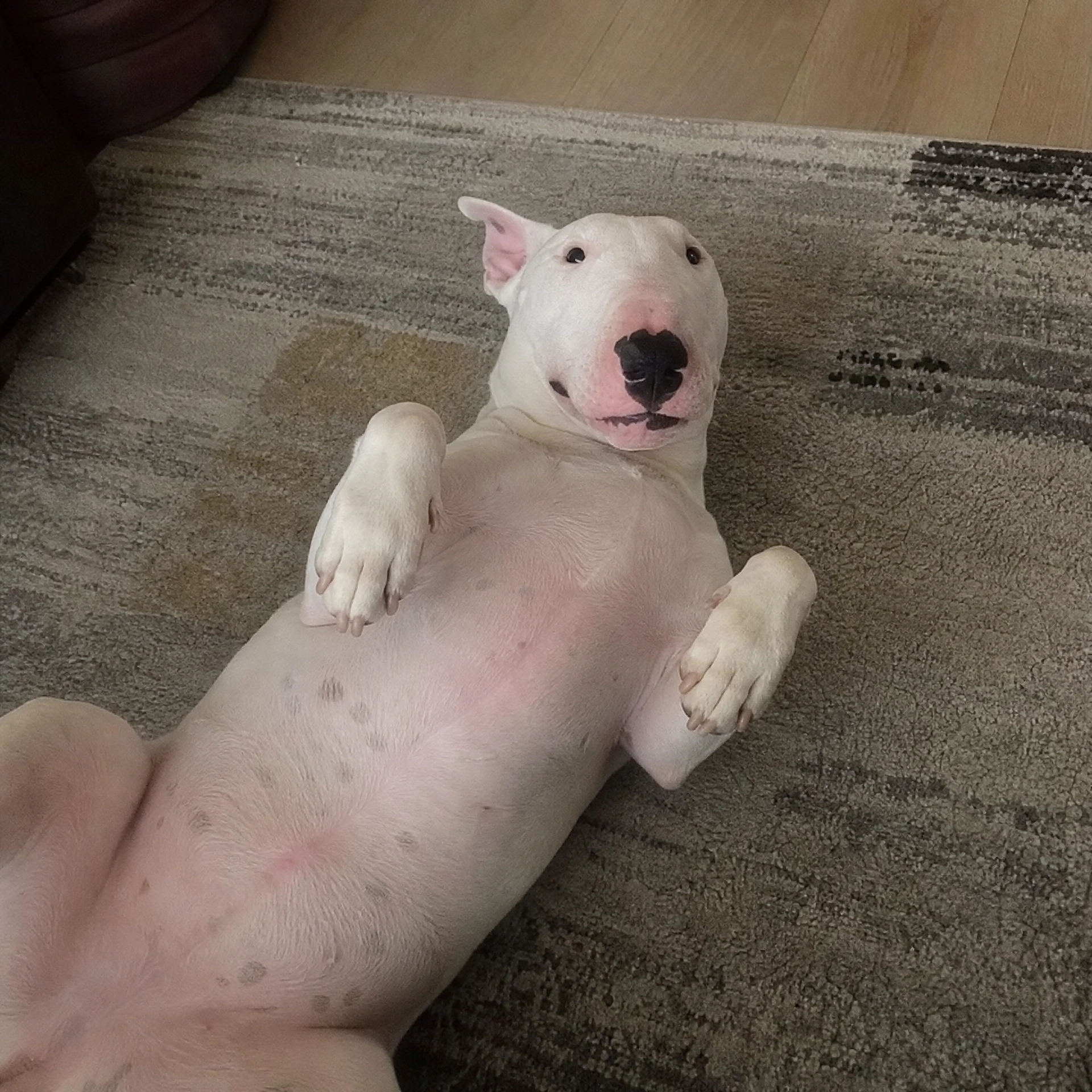 Coco