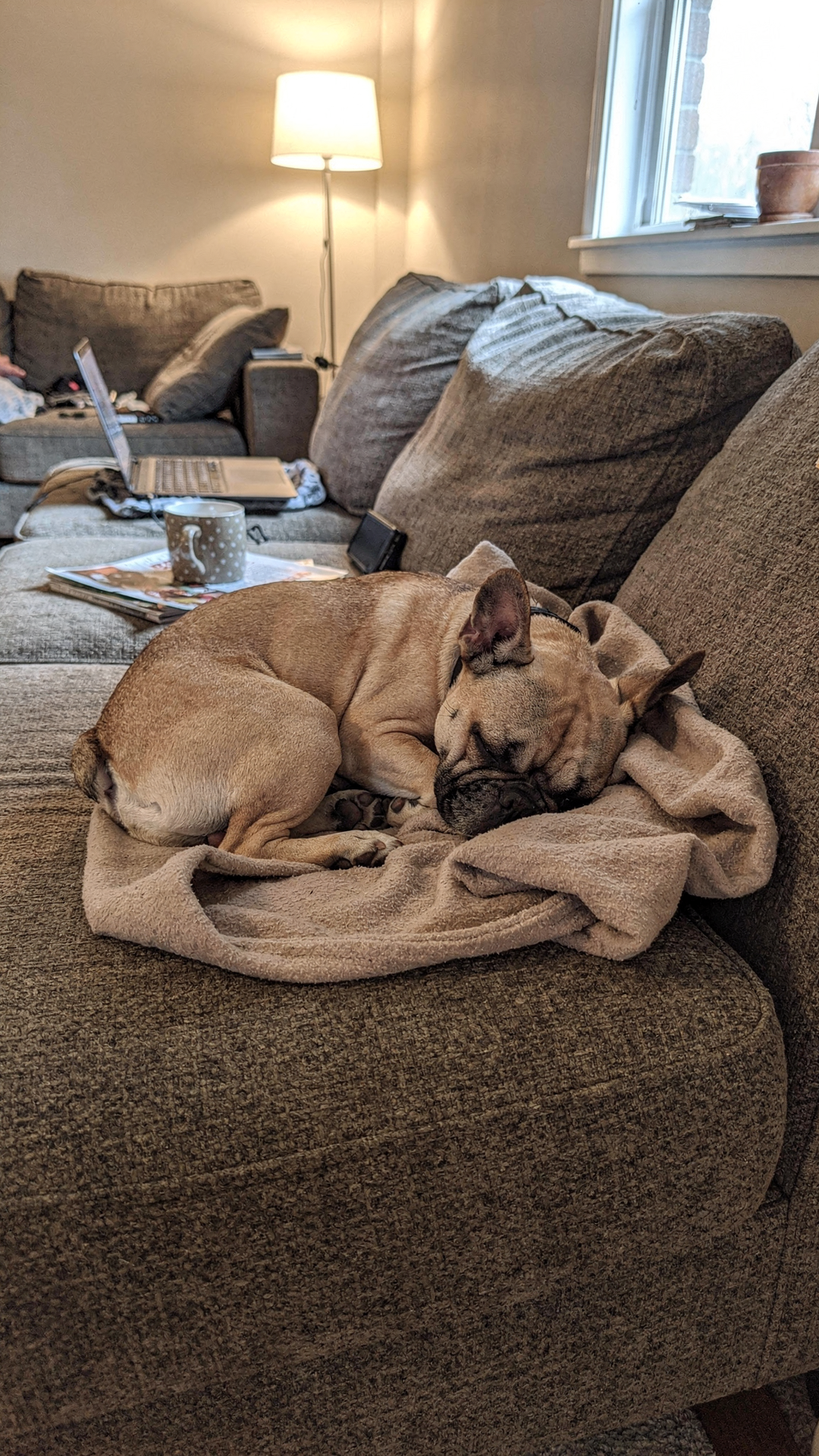 Duke