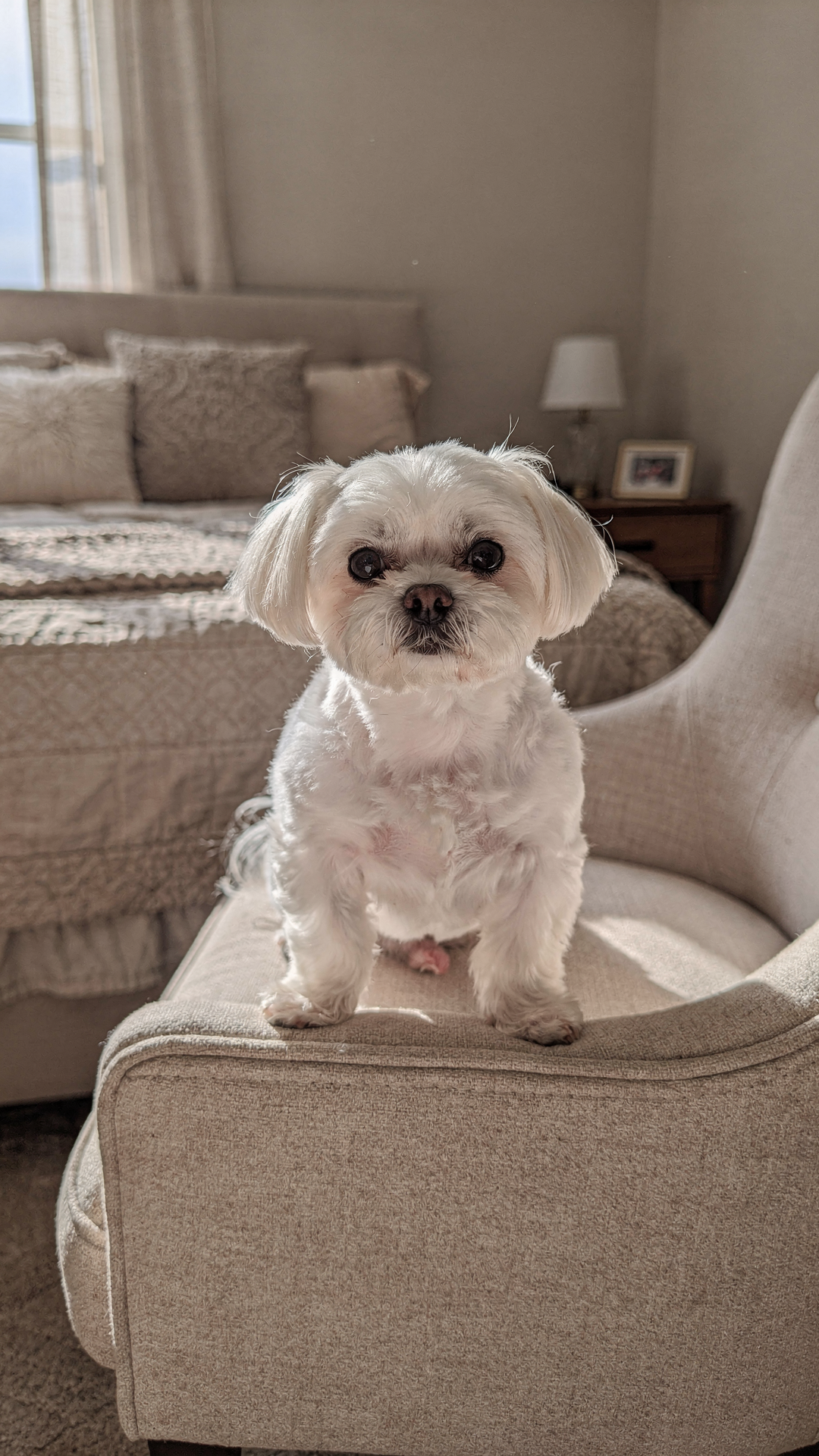 Mimi