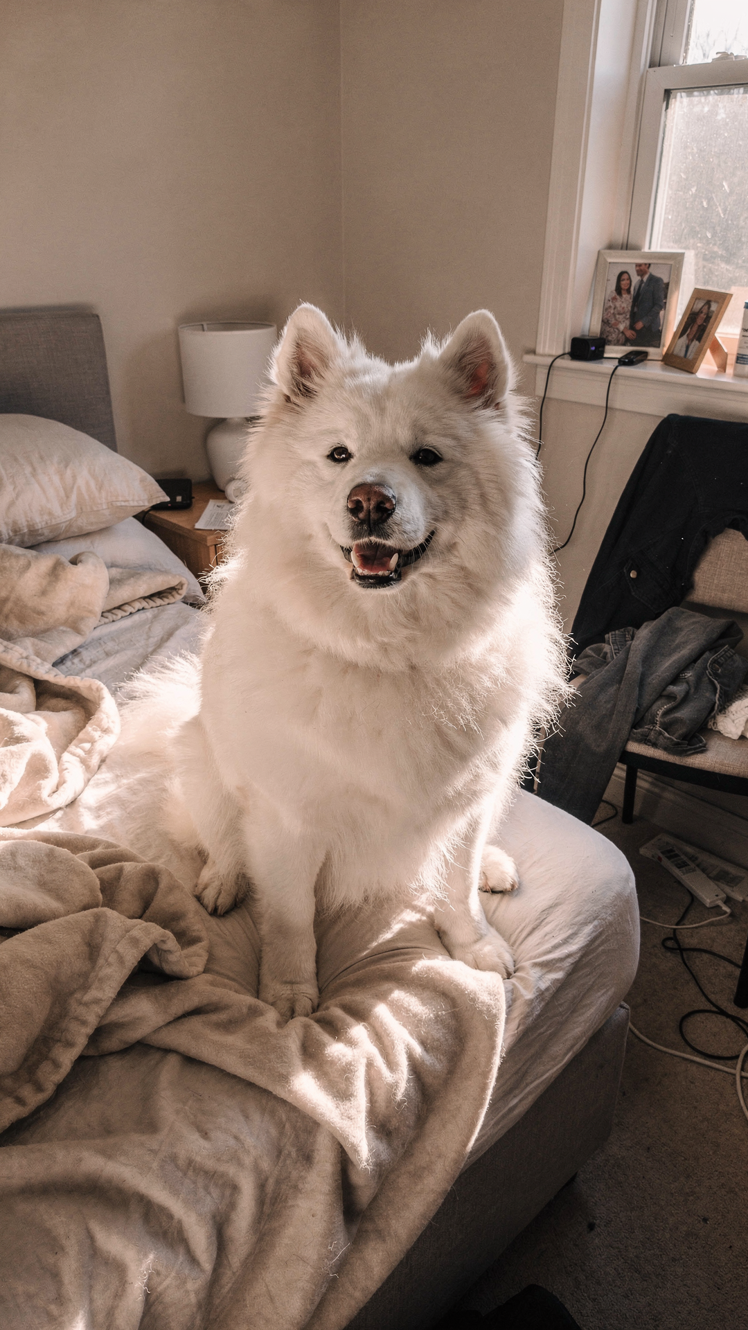 Lola