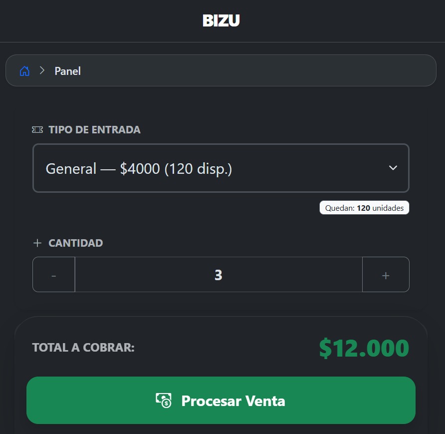 Captura sistema BIZU